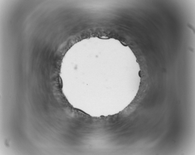 X0000103500192200810101055