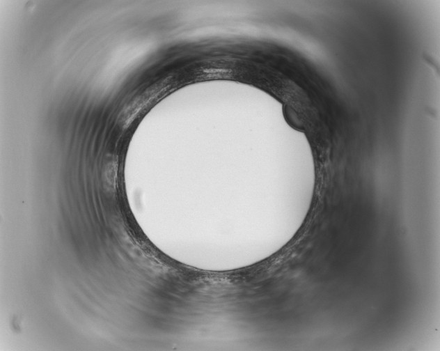 X0000103500194200810101054