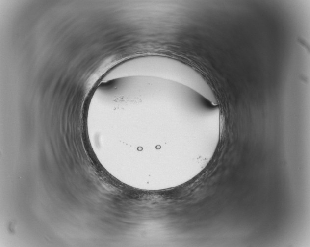 X0000103500195200810101054