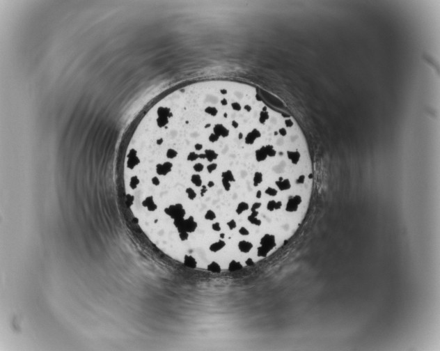 X0000103500196200810101054