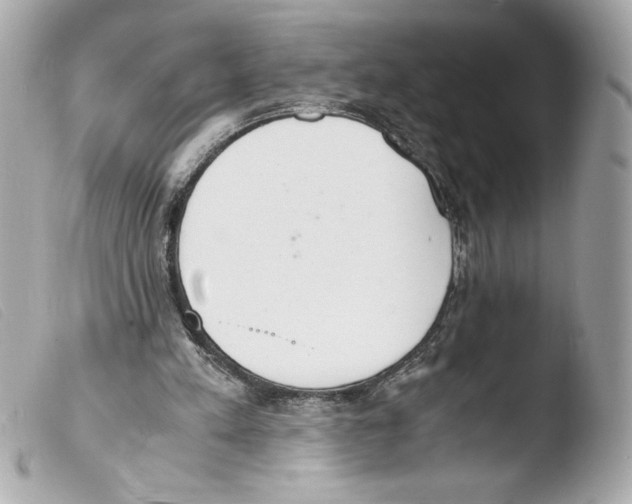 X0000103500197200810101054