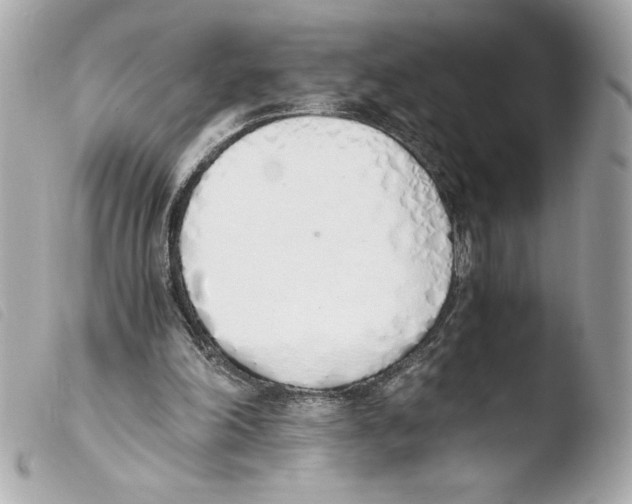 X0000103500198200810101054