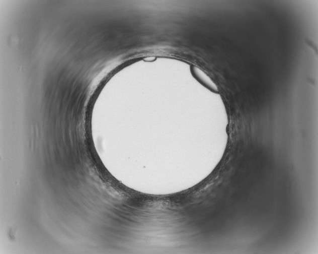 X0000103500200200810101054