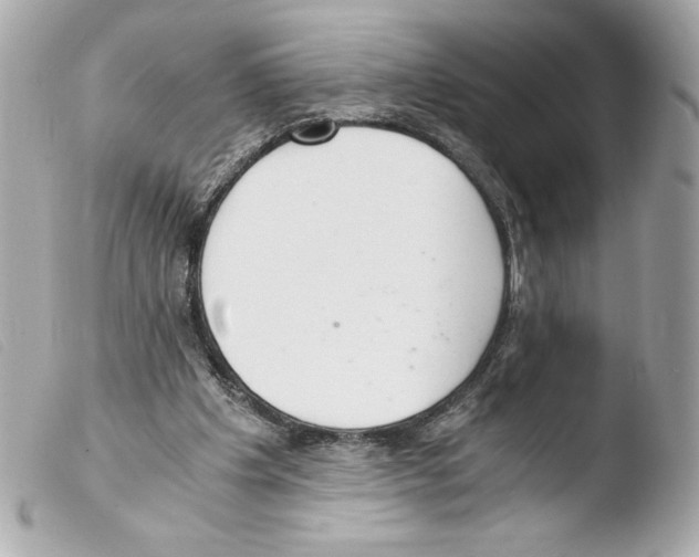 X0000103500201200810101054