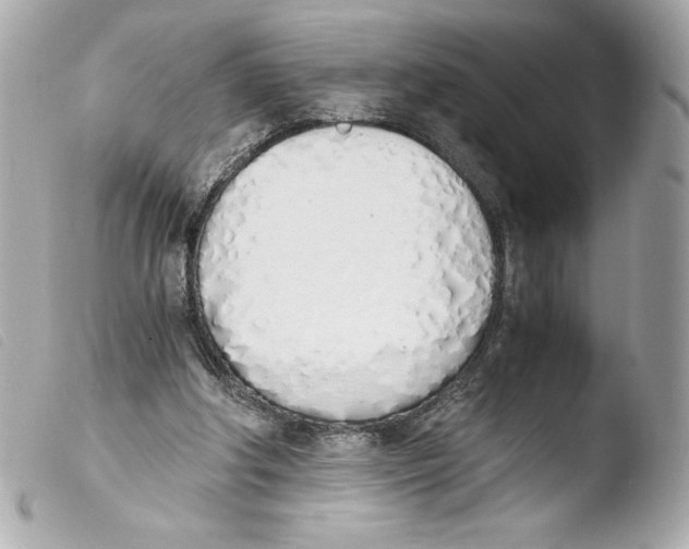 X0000103500202200810101054