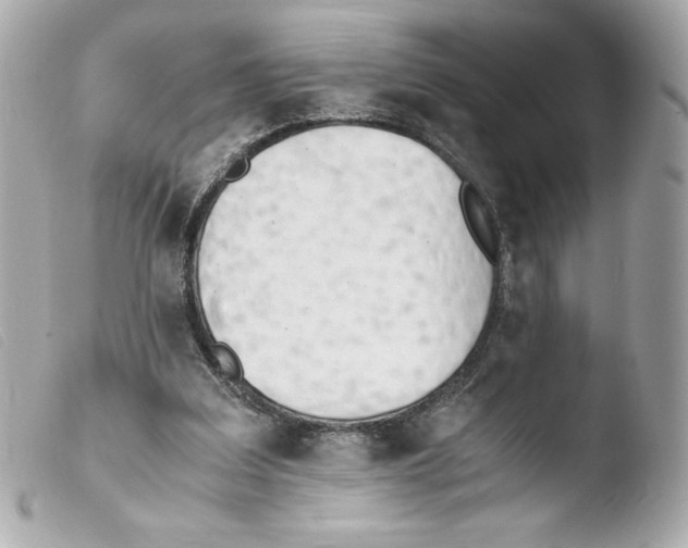 X0000103500203200810101054