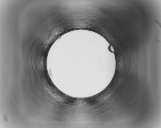 X0000103500207200810101054