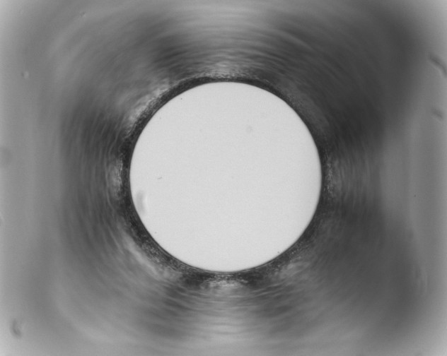 X0000103500208200810101054