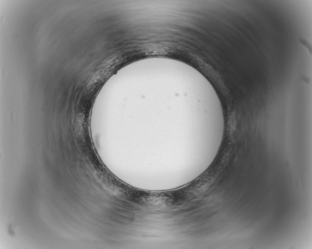 X0000103500209200810101054