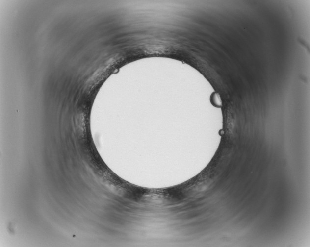 X0000103500211200810101054