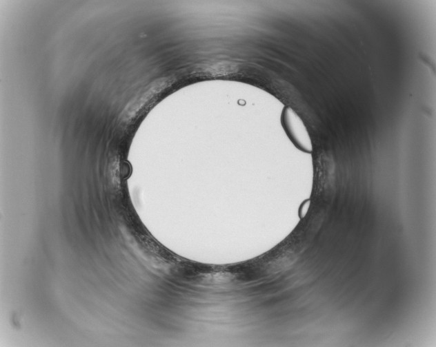 X0000103500212200810101054