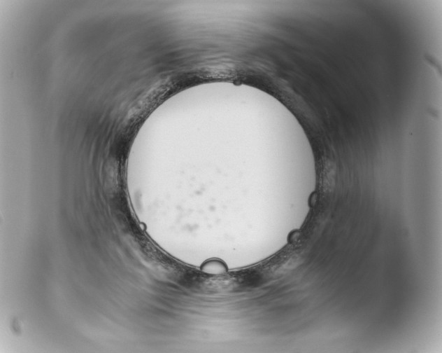 X0000103500213200810101054