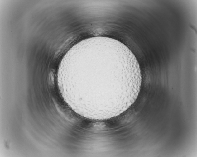 X0000103500214200810101054