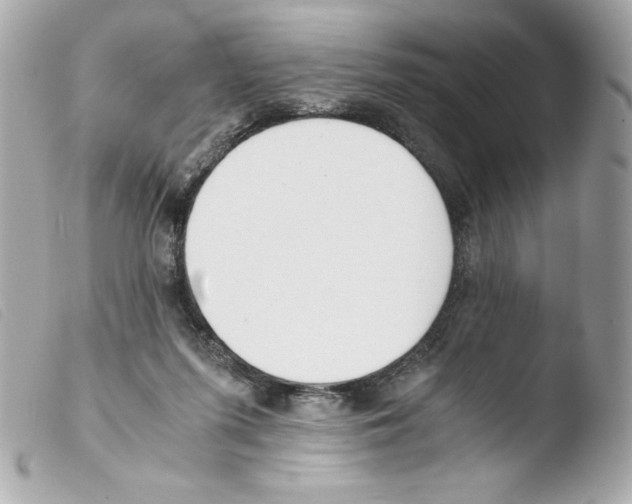 X0000103500215200810101054