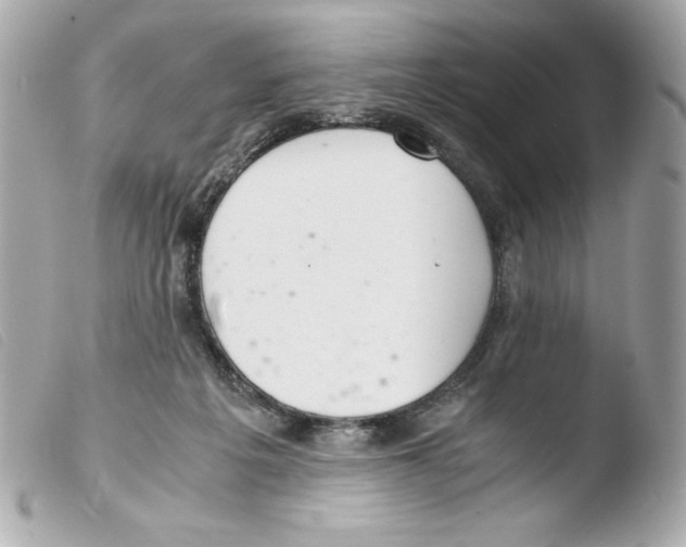 X0000103500217200810101054