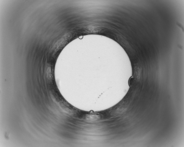 X0000103500220200810101054