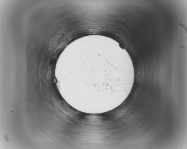 X0000103500221200810101054