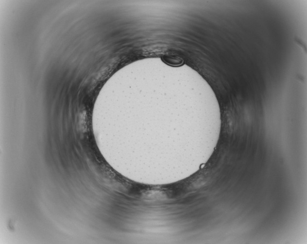 X0000103500224200810101054