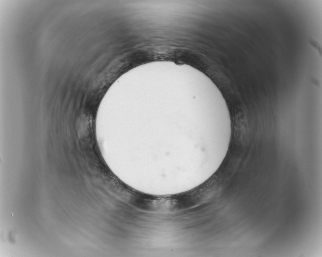 X0000103500225200810101054