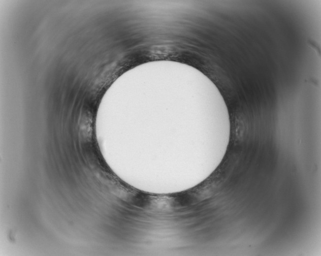 X0000103500226200810101054