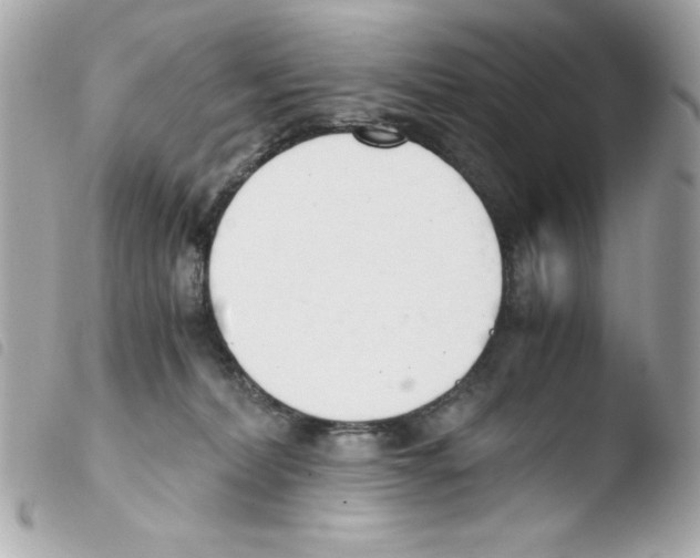 X0000103500228200810101054