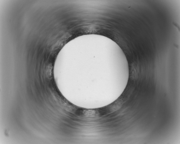 X0000103500230200810101054