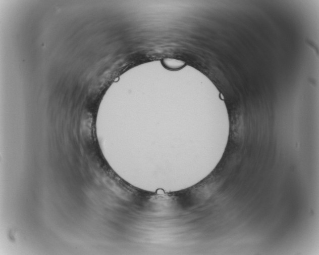 X0000103500231200810101054