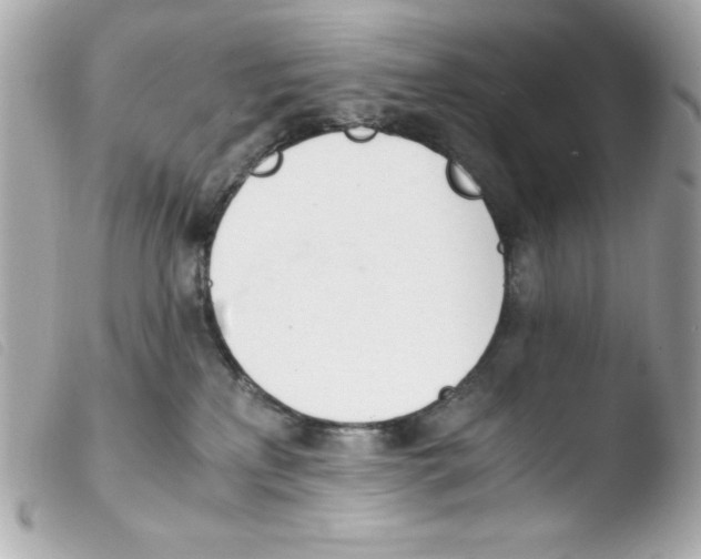 X0000103500233200810101054