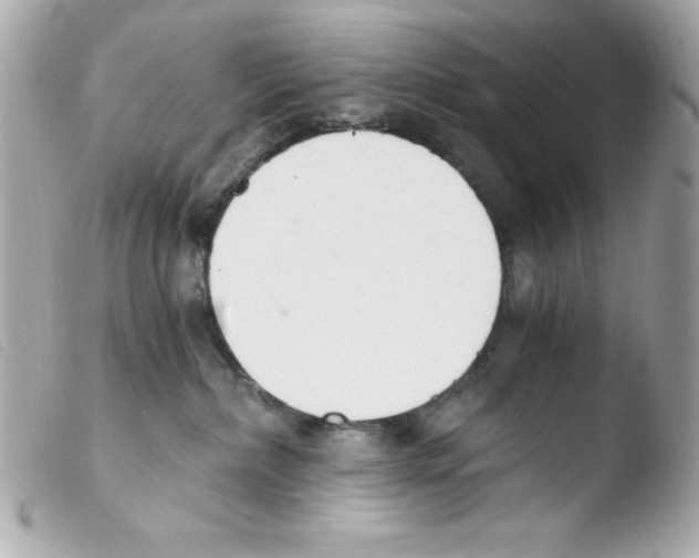 X0000103500236200810101054