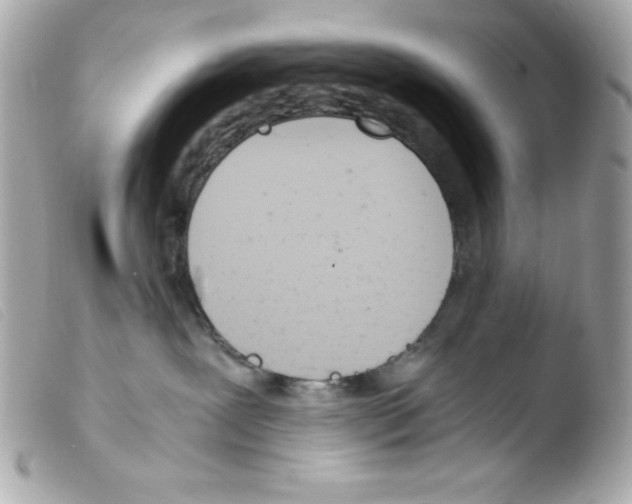 X0000103500239200810101053