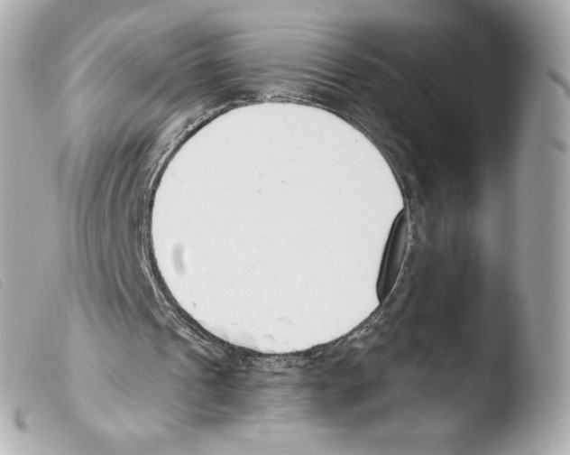 X0000103500241200810101053