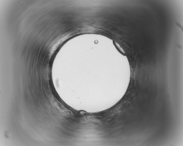 X0000103500244200810101053