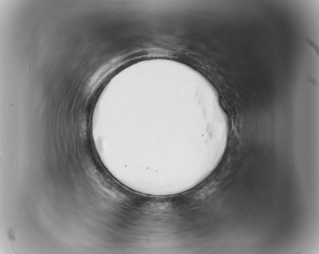 X0000103500247200810101053