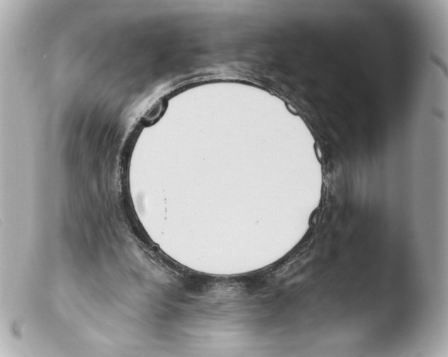 X0000103500248200810101053