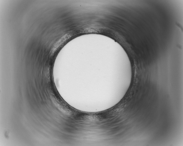 X0000103500250200810101053