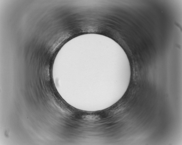 X0000103500251200810101053