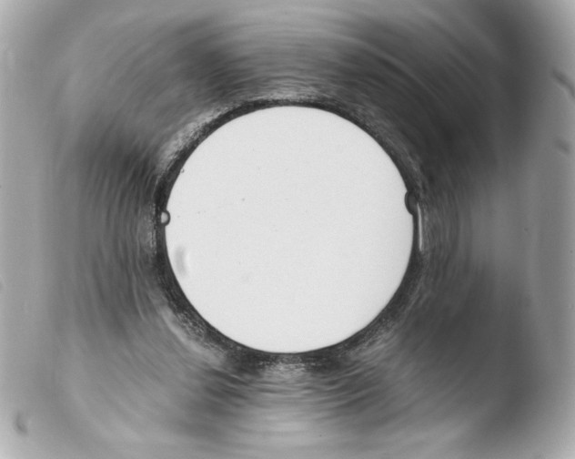 X0000103500252200810101053