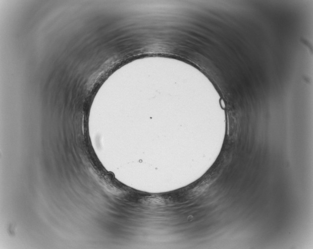 X0000103500253200810101053