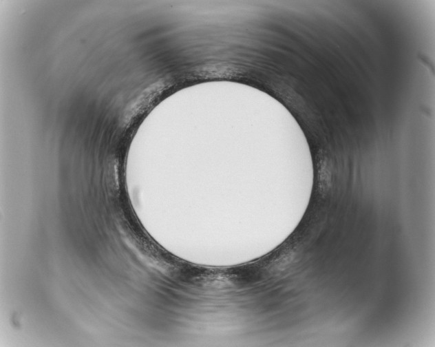 X0000103500254200810101053