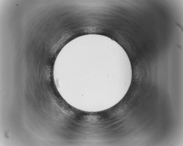 X0000103500255200810101053