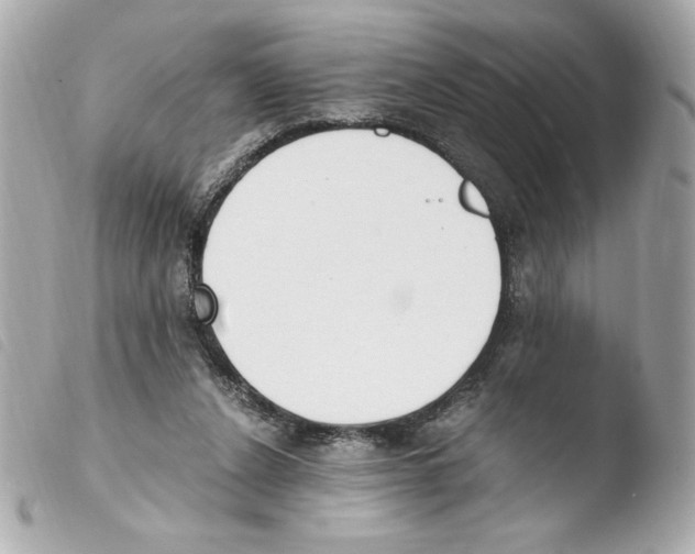 X0000103500256200810101053