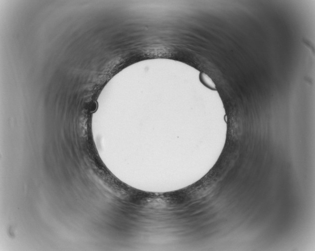 X0000103500259200810101053