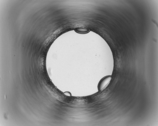 X0000103500260200810101053