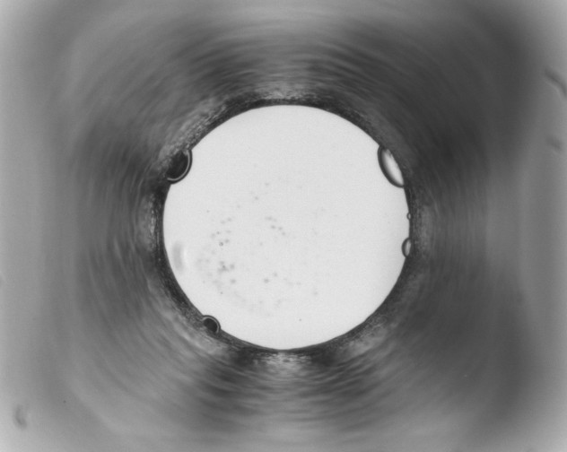 X0000103500261200810101053