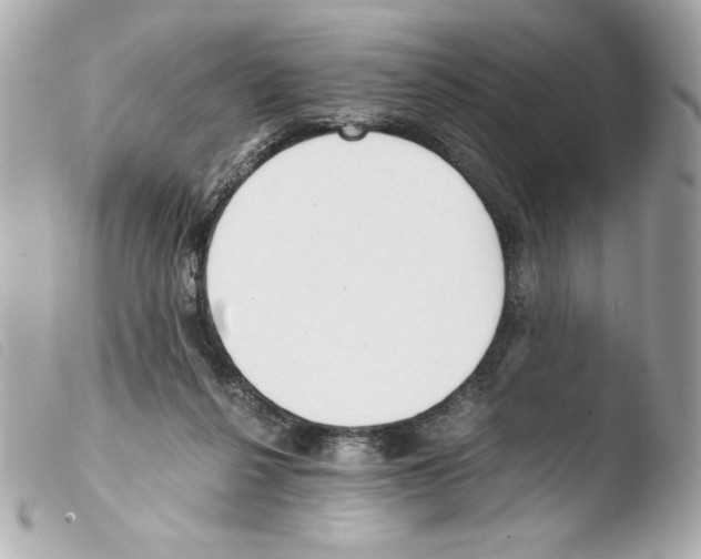 X0000103500264200810101053