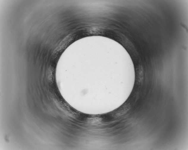 X0000103500266200810101053