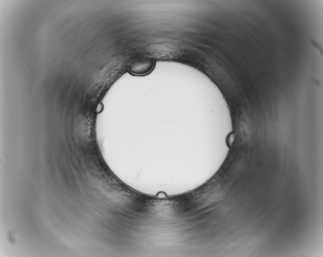 X0000103500268200810101053