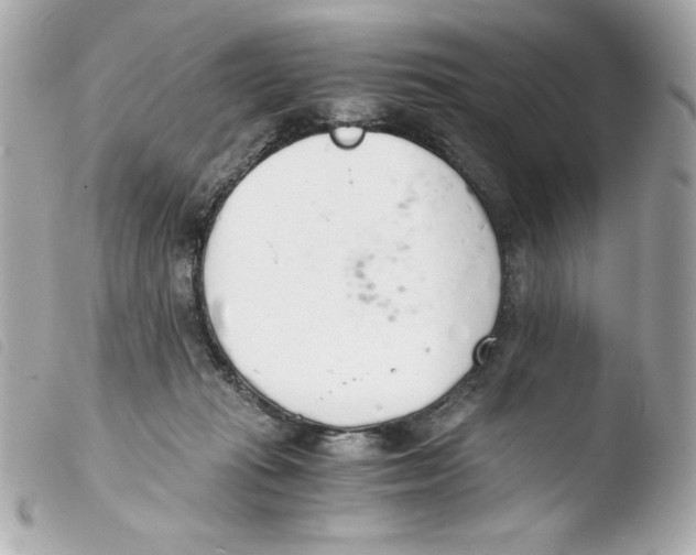 X0000103500269200810101053