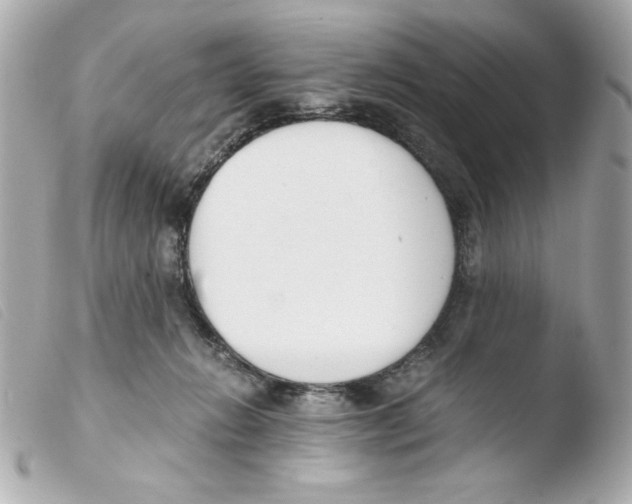 X0000103500270200810101053