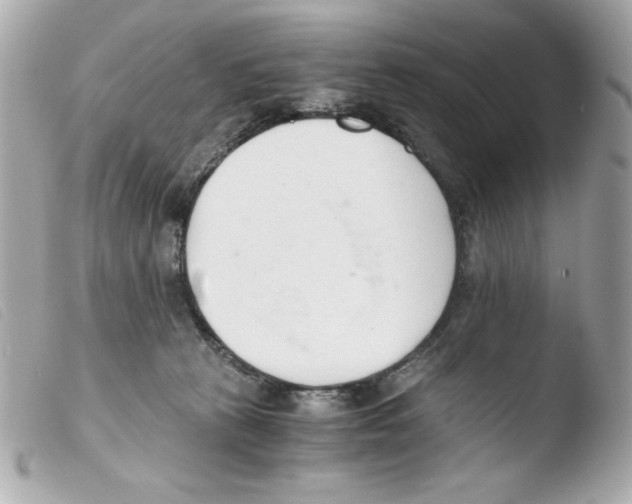 X0000103500273200810101053